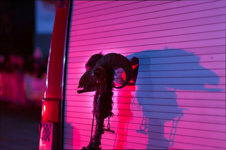 2.Krampusshow in Fußach (60)